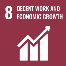 Decent Work and Economic Growth SDG8