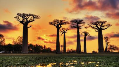 Message by UNWTO Secretary-General Zurab Pololikashvili