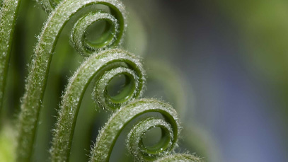 Integrating Circular Economy Principles in Tourism