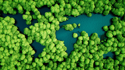 Transforming Tourism for Climate Action