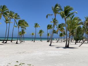 1st meeting of UN Tourism Regional Commissions for the Americas and Africa (CAM-CAF)
