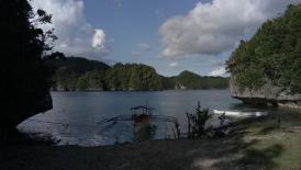 1st PALAWAN (Giant Swamp Taro) CULINARY FEST 2021