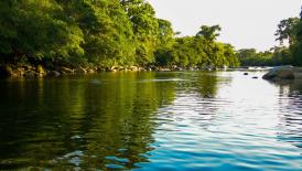 I Congreso Turismo Agroecológico: Innovación, Tendencias y Sostenibilidad para un Crecimiento Inclusivo en el Nuevo Siglo XXI