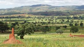 TOURISM FOR INCLUSIVE GROWTH -ETHIOPIA NATIONAL CELEBRATION, SIDAMA.