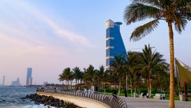 Executive Council – 116th session