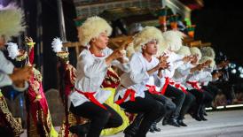 Executive Council - 120th session