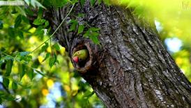 Wildlife filming/photography is not always easy.