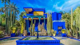 117th Executive Council