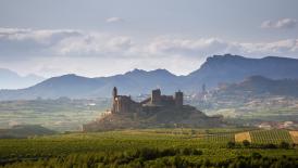 San VIcente de la Sonsierra and vineyards