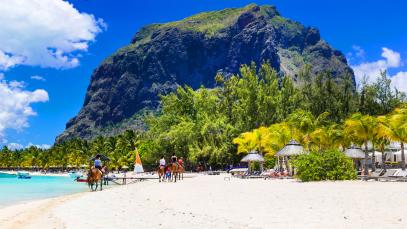 Tourism Leaders Place African Focus on Global Challenges