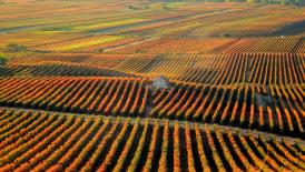 Think Tank on Talent in Wine Tourism