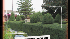 Una visita al Castillo Palacio de los Ribera de Bornos